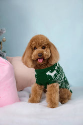 Reindeer Paws Dog Knit Sweater Green