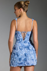 Posy-Floral-Appliqué Corset Mini Dress in Blue