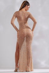 Portia-Sheer Embellished Long Sleeve Evening Gown in Almond