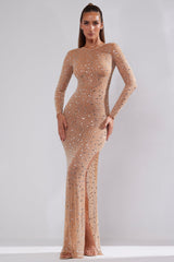 Portia-Sheer Embellished Long Sleeve Evening Gown in Almond