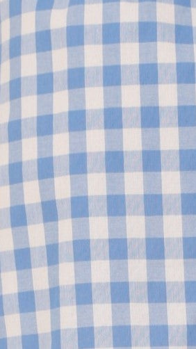 Madison Mini Skirt - Blue/White Gingham