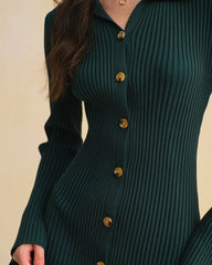Green A-Line Button Sweater Dress