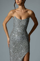 Jasella-Embellished Corset Gown in Silver