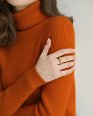 Brick Red Turtle Pullover Sweater