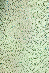 Aellin-Embellished Bodycon Mini Dress in Pistachio