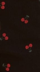 Aria Shorts - Black Denim Cherry